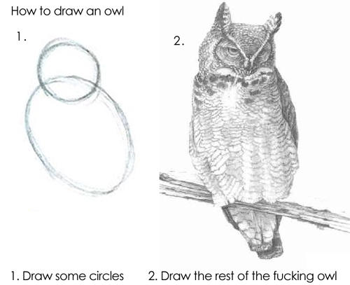 Step 1, draw some circles. Step 2, draw the rest of the fucking owl